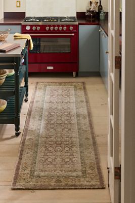 Sonya Persian-Style Printed Rug