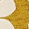 Maize