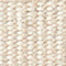 Maize