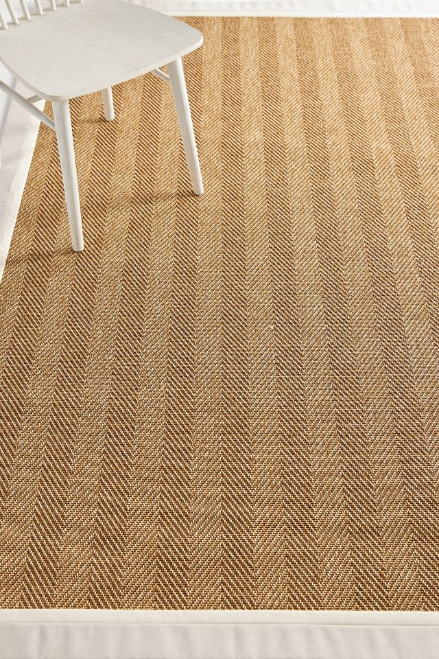 Flatwoven Double Border Performance Rug #1