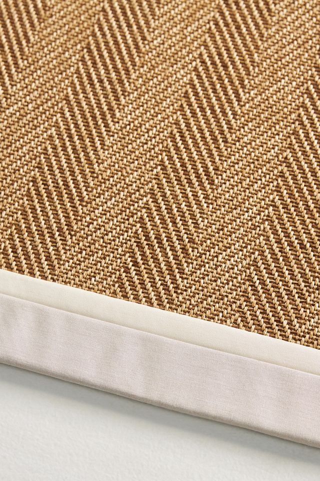 Flatwoven Double Border Performance Rug #2