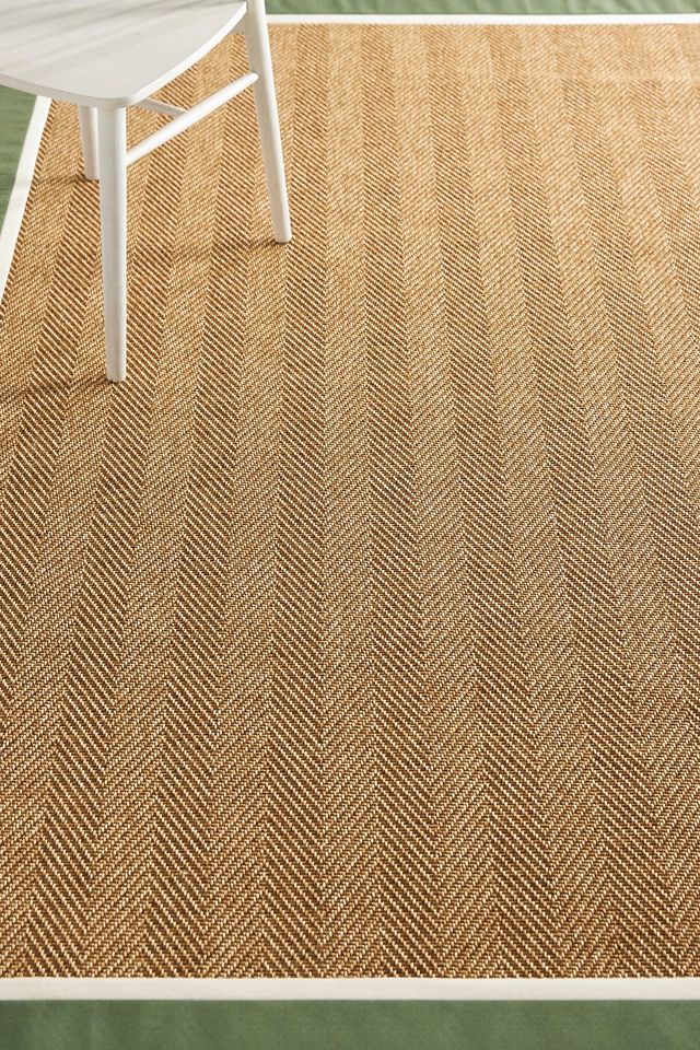 Flatwoven Double Border Performance Outdoor Rug #1