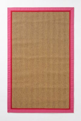 Flatwoven Double Border Performance Rug