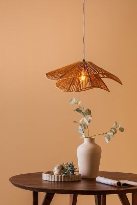 19+ Anthropologie Pendant Light