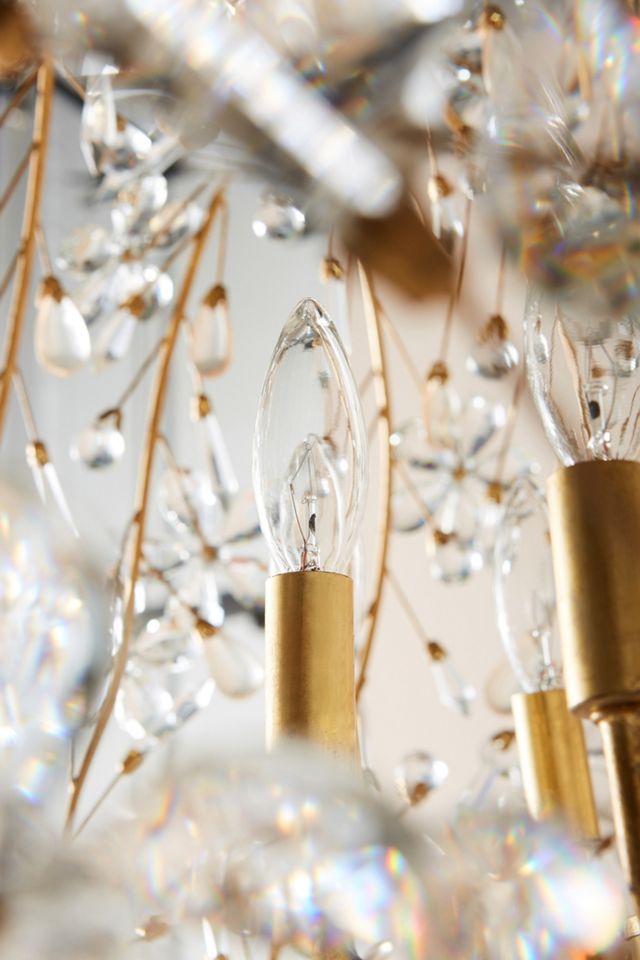 Cheshire Chandelier #3