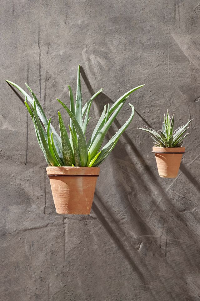 nkuku Jara Terracotta Wall Mounted Planter #1