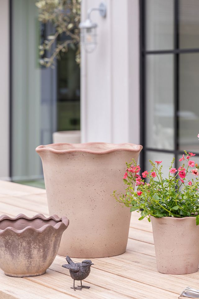 Ada Scalloped Edge Bowl Plant Pots, Set of 2 #1