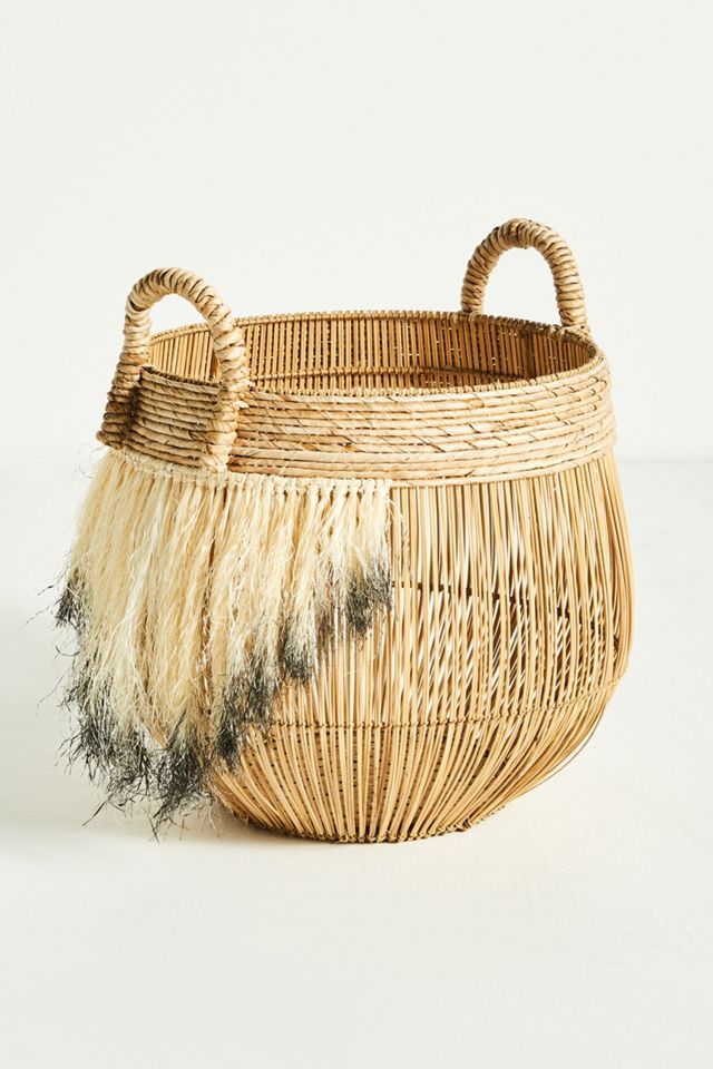 Alexa Basket #1