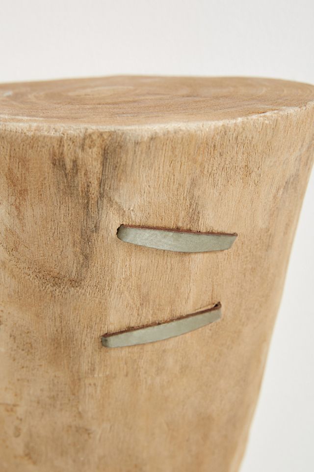 Split Stump Shelf #3