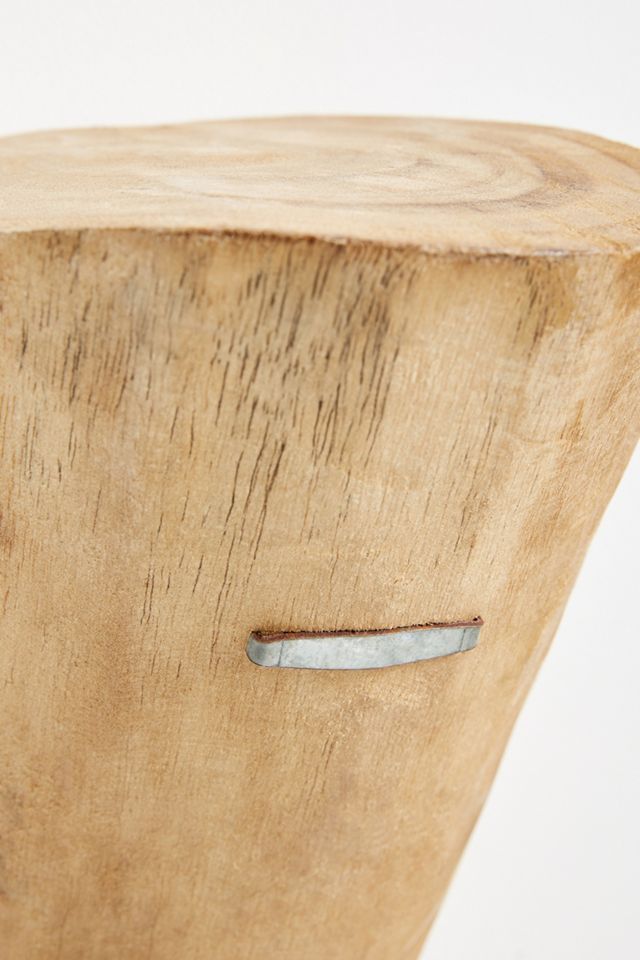 Split Stump Shelf #6