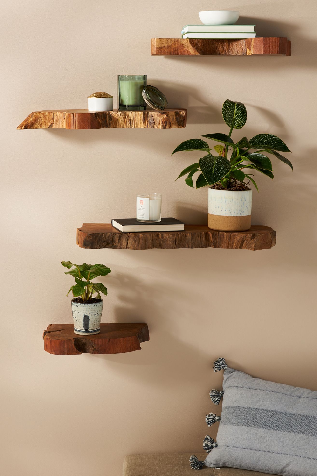 Takara Live-Edge Shelf - LIVE EDGE, L
