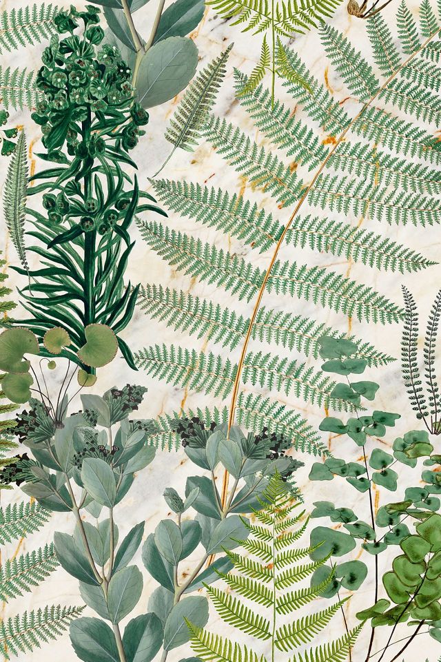 MINDTHEGAP Green Sanctuary Wallpaper #1