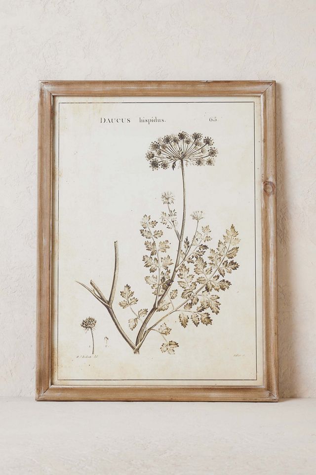 Botanical Wall Art