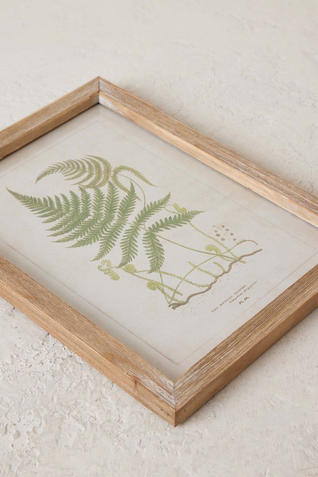 Fern Wall Art #1