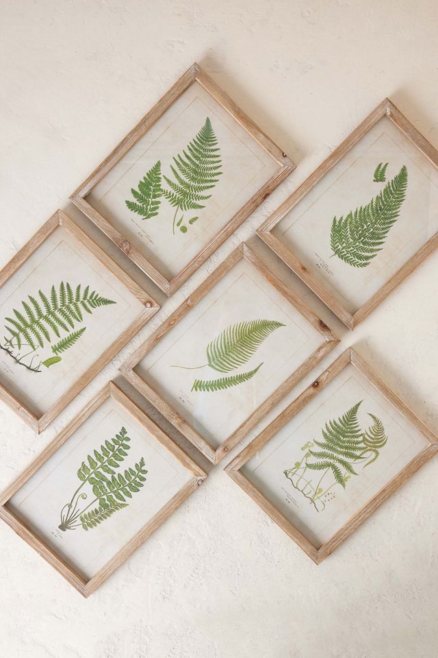 Fern Wall Art #3