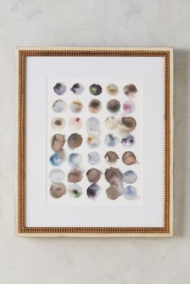 Deciphering Nature Wall Art