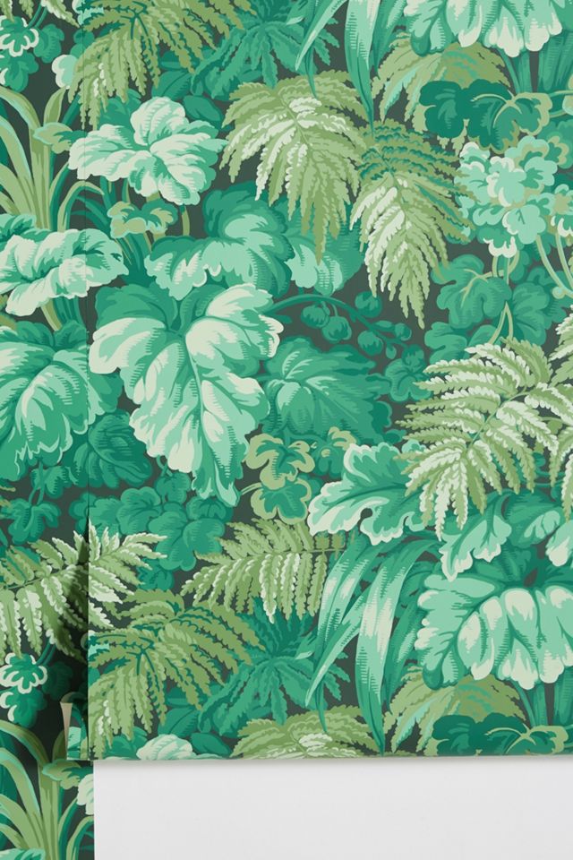 Royal Fernery Wallpaper #1