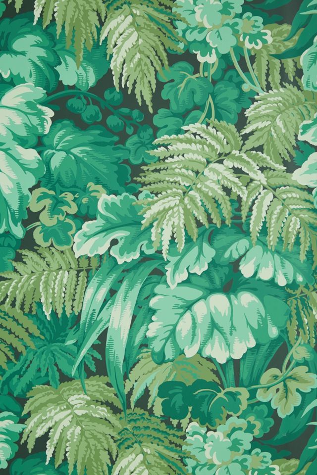 Royal Fernery Wallpaper #2