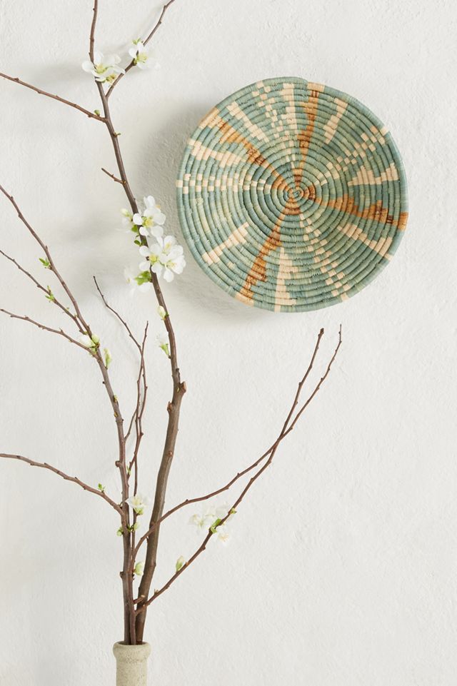 Niebla Hanging Basket #1