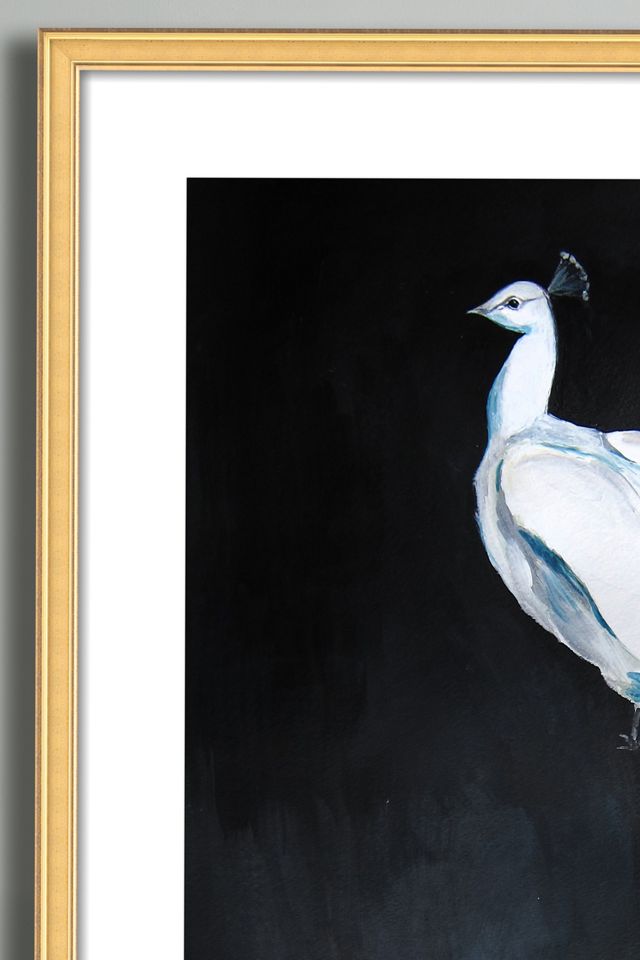 White Peacock II Wall Art #1
