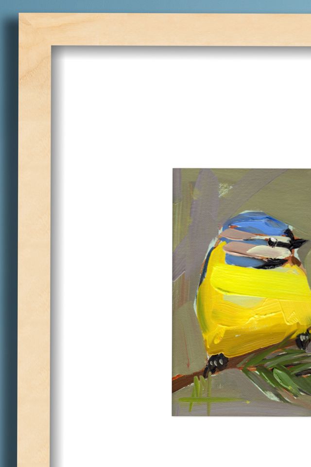 Blue Tit Bird No.34 Wall Art #1