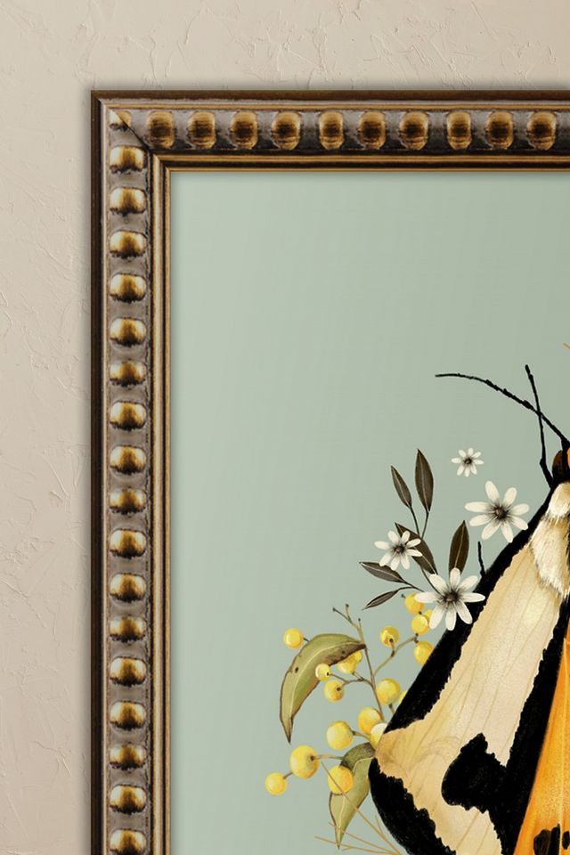 moth and berries by Nicola Evans Framed Wall Art #1