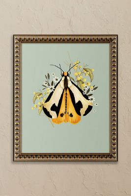 moth and berries by Nicola Evans Framed Wall Art