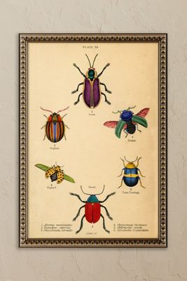 Bugs by Wyatt Landesmann Framed Wall Art