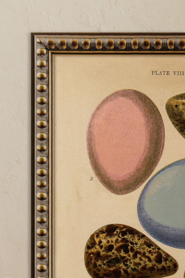 Eggs by Wyatt Landesmann Framed Wall Art #1
