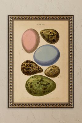 Eggs by Wyatt Landesmann Framed Wall Art