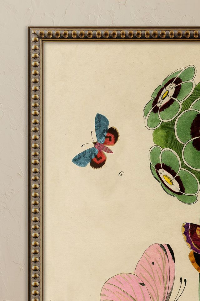 Flower by Wyatt Landesmann Framed Wall Art #1