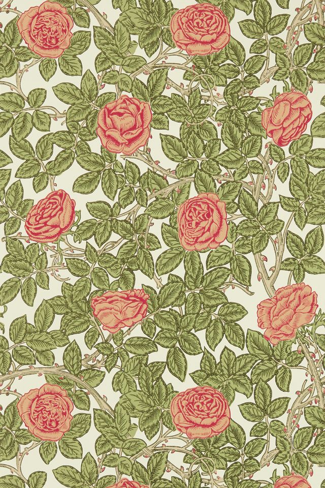 Sanderson Rambling Rose Wallpaper #1