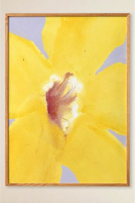 In Full Bloom 01 by Liat Greenberg Framed Wall Art Print
