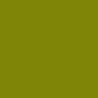 PASSIONATE OLIVE GREEN