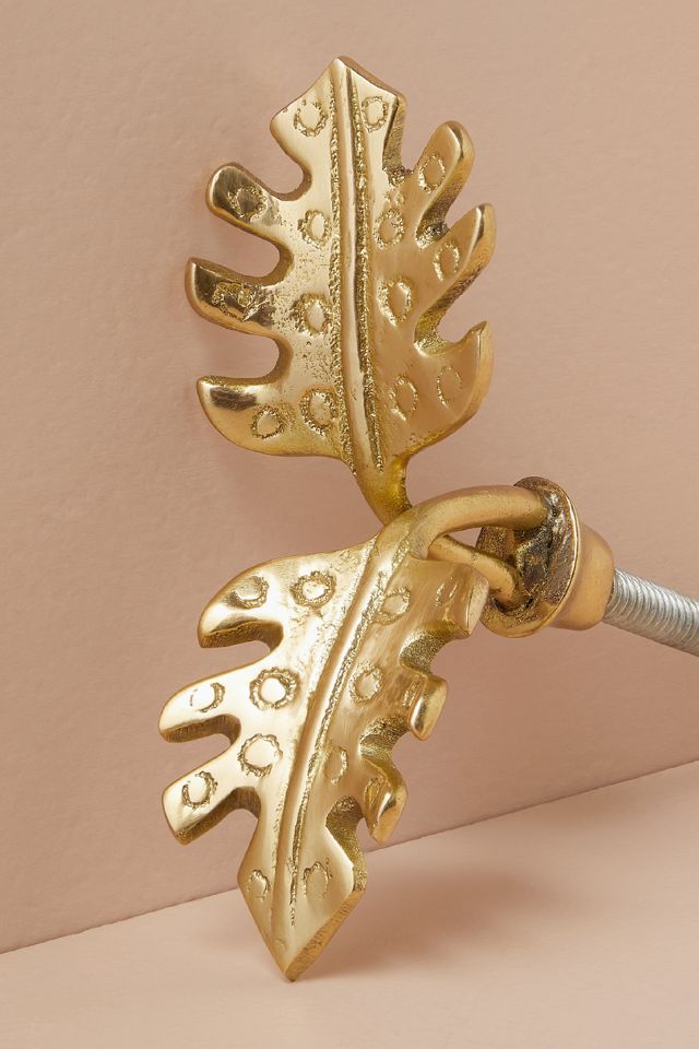 Cheese Plant Knob #1