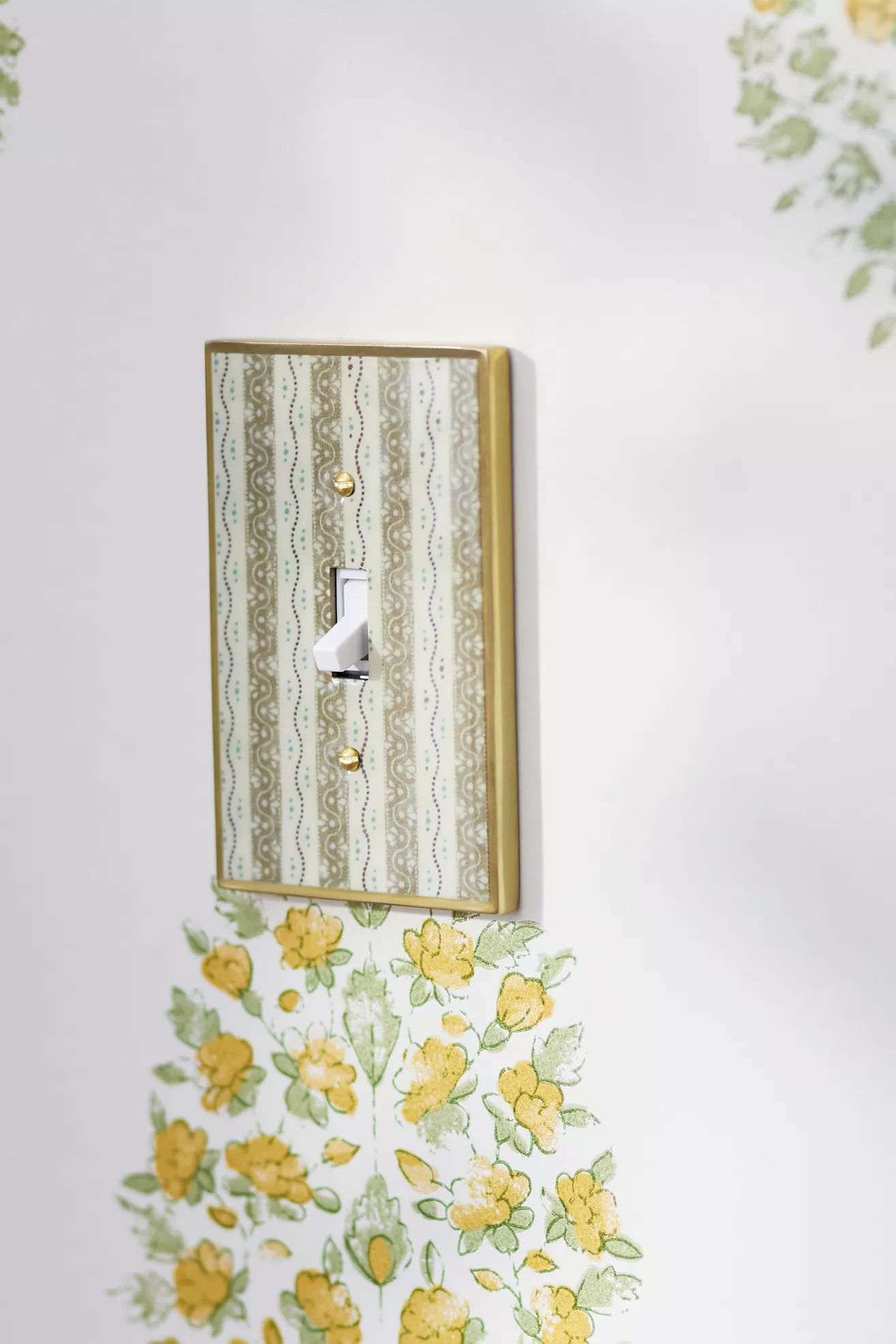 McKay Patterned Switch Plate - thumbnail 10