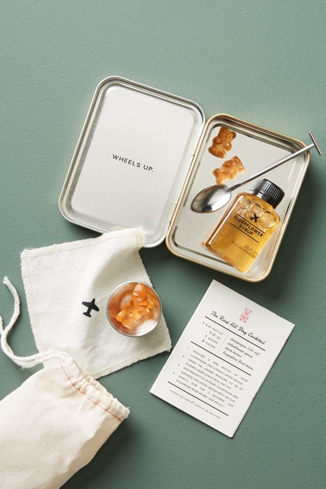 Rose All Day Carry-On Cocktail Kit #1