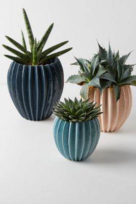 Ridged Pot