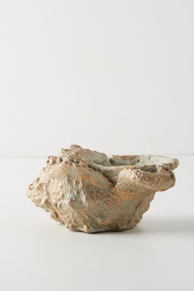Shell Planter #2