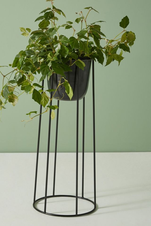 Griffard Plant Stand Set #1