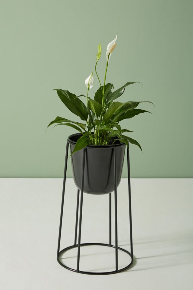 Griffard Plant Stand Set #2