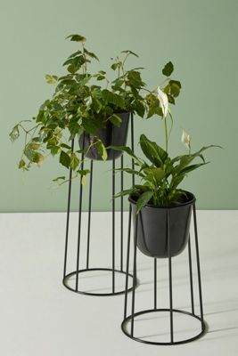 Griffard Plant Stand Set