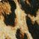 MOTIF MARRON