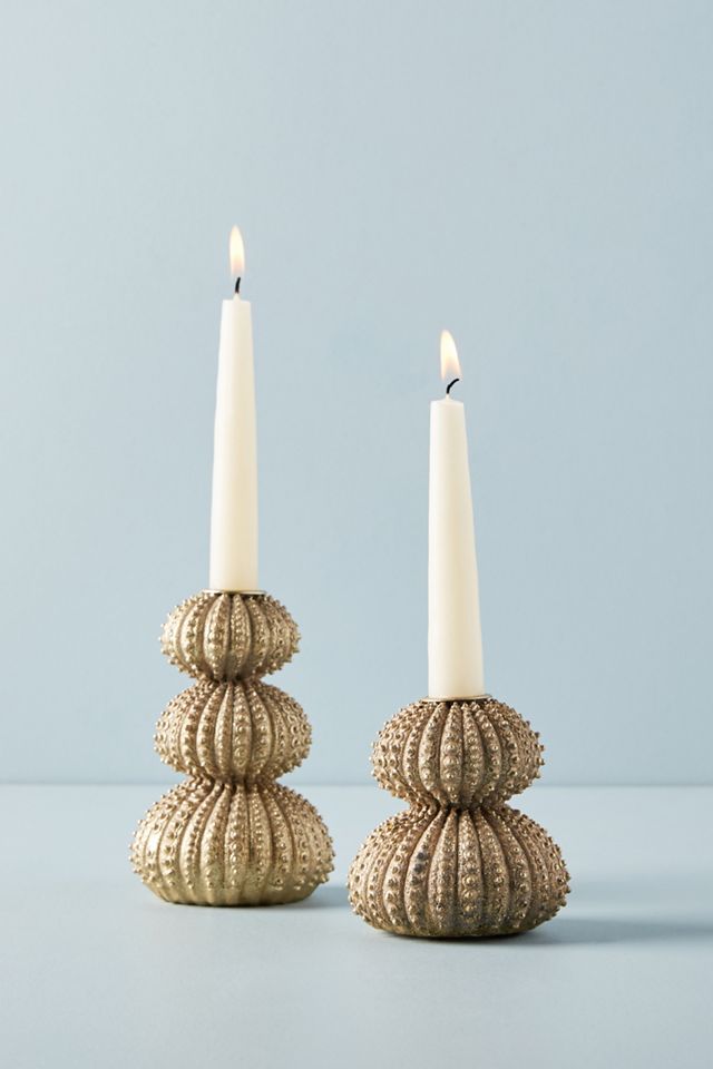 Sea Urchin Taper Holder #4