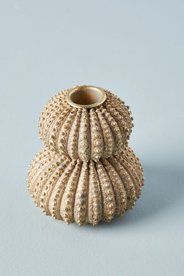 Sea Urchin Taper Holder #1