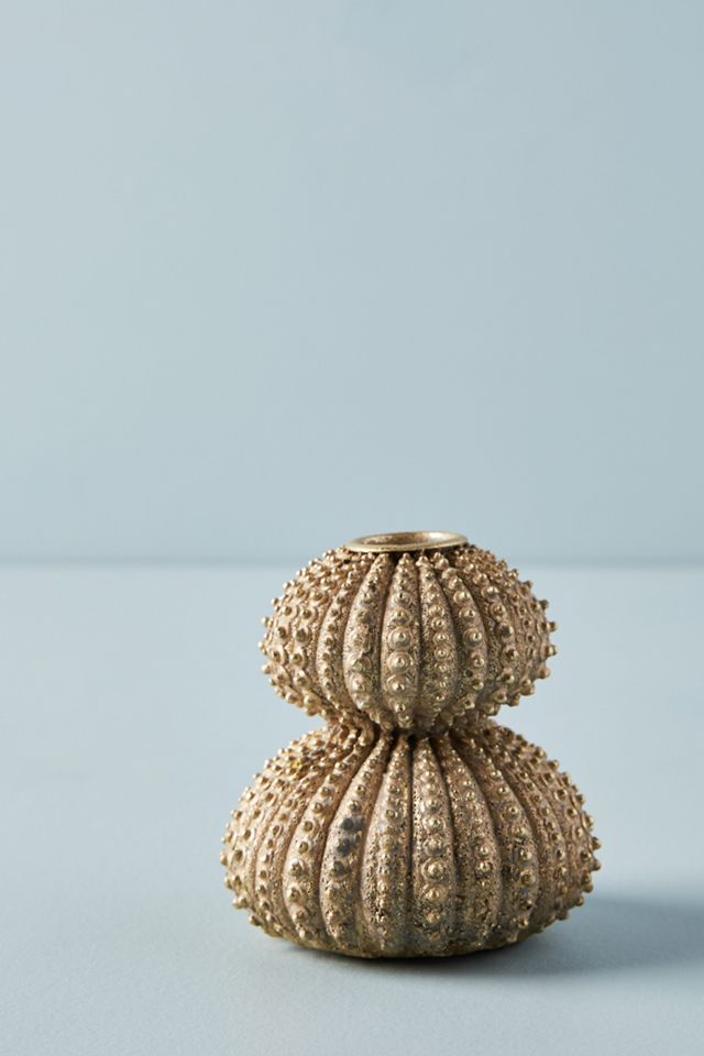 Sea Urchin Taper Holder