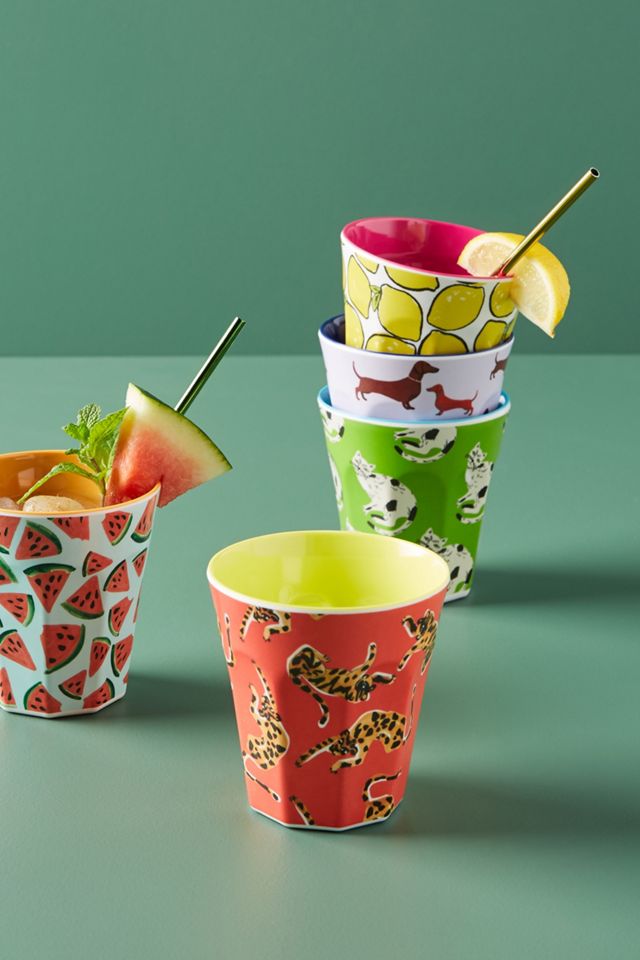 Colloquial Melamine Tumbler #2