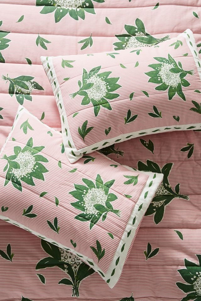 Paule Marrot Camilla Shams, Set of 2