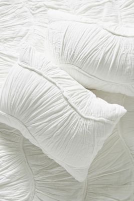 Ruched Wave Shams, Set of 2
