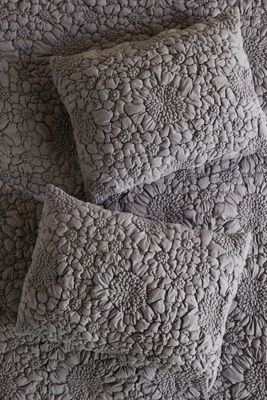 Textured Piazza Shams, Set of 2